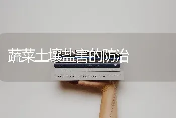 蔬菜土壤盐害的防治