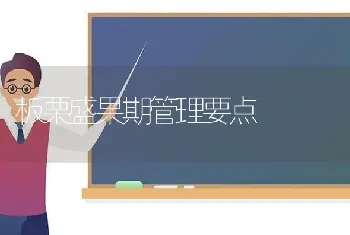 板栗盛果期管理要点