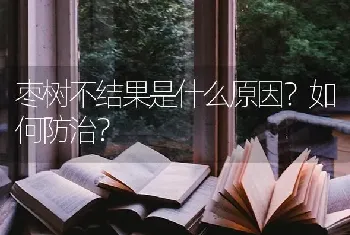 枣树不结果是什么原因?如何防治?