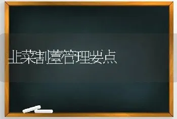 韭菜割薹管理要点