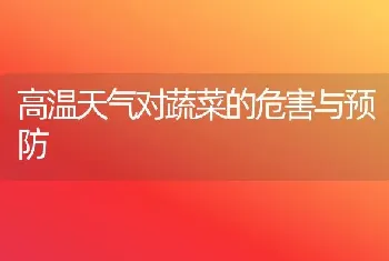 高温天气对蔬菜的危害与预防