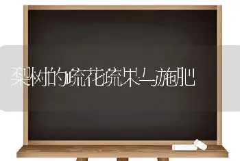 梨树的疏花疏果与施肥