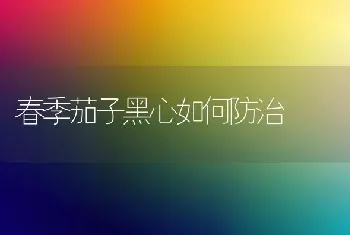 春季茄子黑心如何防治