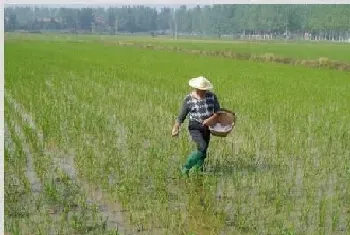 大量元素水溶肥料使用方法