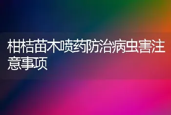 柑桔苗木喷药防治病虫害注意事项