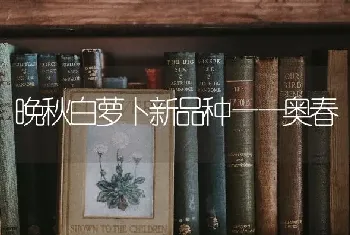 晚秋白萝卜新品种——奥春