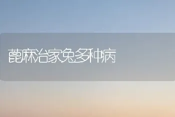 蓖麻治家兔多种病