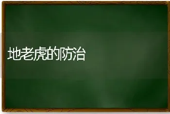 低温季节这样浇水施肥不伤根