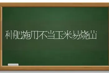 种肥施用不当玉米易烧苗