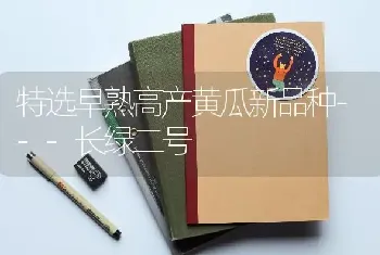 特选早熟高产黄瓜新品种---长绿二号