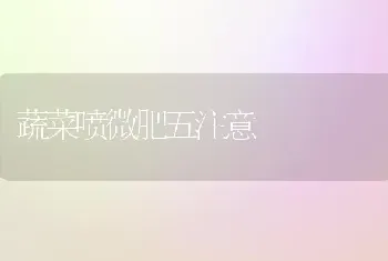 蔬菜喷微肥五注意