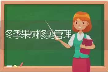 冬季果树修剪管理