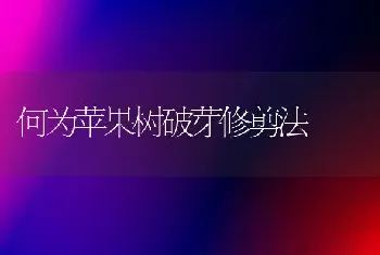 何为苹果树破芽修剪法