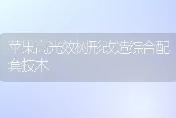 苹果高光效树形改造综合配套技术