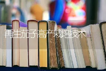 再生茄子高产栽培技术