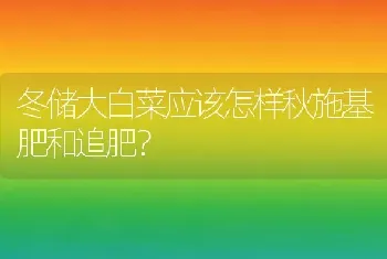 冬储大白菜应该怎样秋施基肥和追肥?