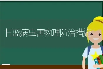 甘蓝病虫害物理防治措施