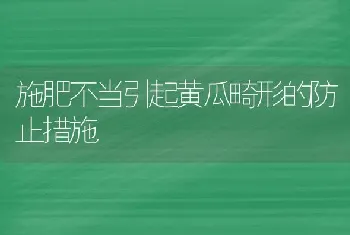 施肥不当引起黄瓜畸形的防止措施