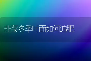 韭菜冬季叶面如何追肥