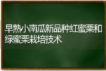 早熟小南瓜新品种红蜜栗和绿蜜栗栽培技术