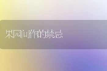 果园间作的禁忌