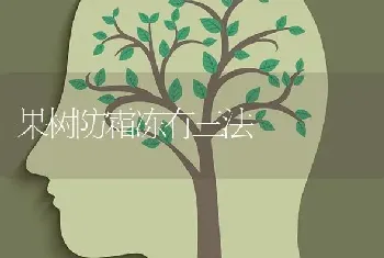 果树防霜冻有三法