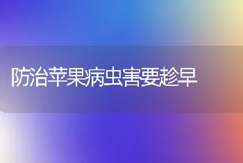 防治苹果病虫害要趁早