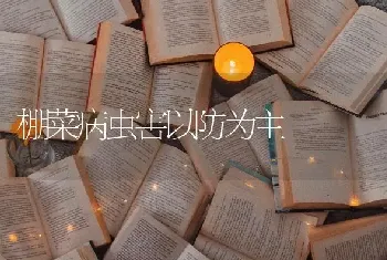 棚菜病虫害以防为主