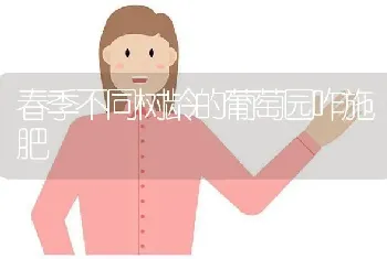 春季不同树龄的葡萄园咋施肥