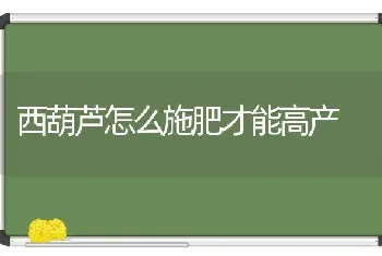 西葫芦怎么施肥才能高产