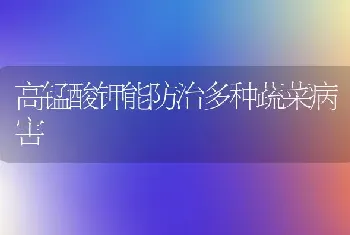 高锰酸钾能防治多种蔬菜病害