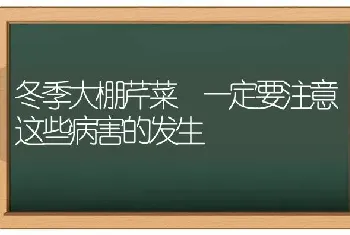 冬季大棚芹菜 一定要注意这些病害的发生