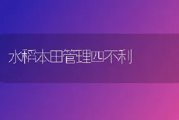 水稻本田管理四不利