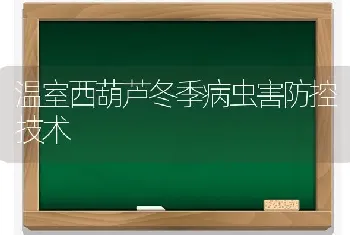 温室西葫芦冬季病虫害防控技术