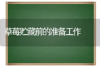 草莓贮藏前的准备工作