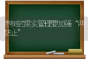 枣树的果实管理要加强“两防止”