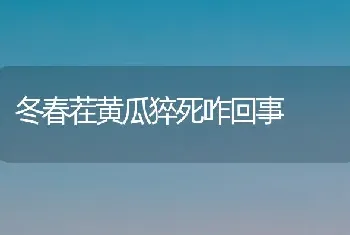 冬春茬黄瓜猝死咋回事