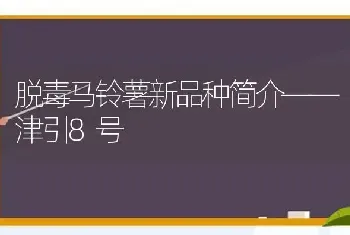 脱毒马铃薯新品种简介——津引8号