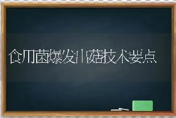 食用菌爆发出菇技术要点