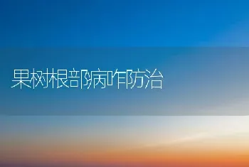 果树根部病咋防治