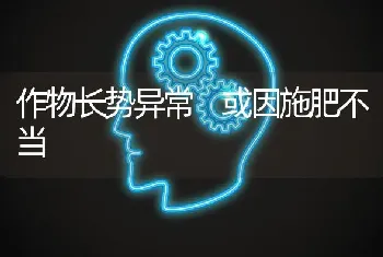 作物长势异常 或因施肥不当