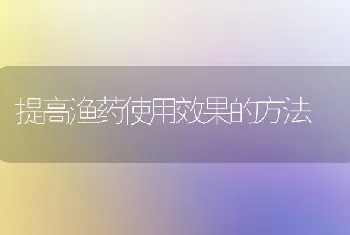 提高渔药使用效果的方法