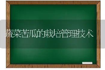 蔬菜苦瓜的栽培管理技术