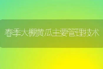 春季大棚黄瓜主要管理技术