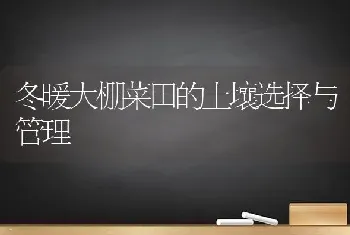 冬暖大棚菜田的土壤选择与管理