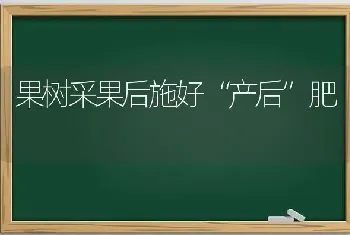 果树采果后施好“产后”肥