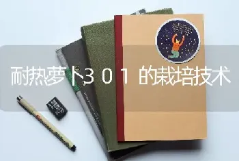 耐热萝卜301的栽培技术