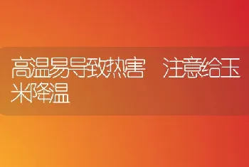 高温易导致热害 注意给玉米降温