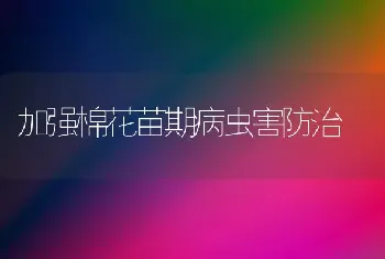 加强棉花苗期病虫害防治