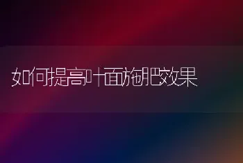 如何提高叶面施肥效果